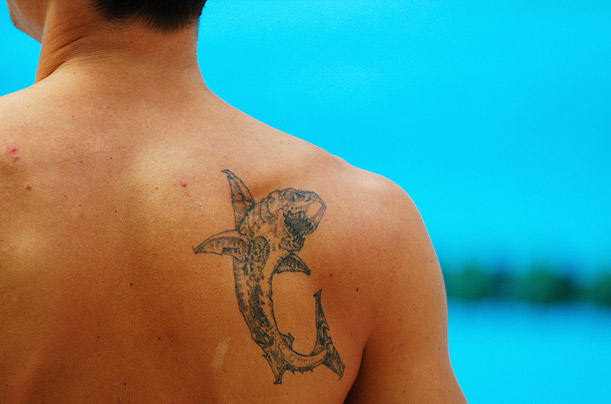 55 Wonderful Shark Tattoo Ideas with Meaning